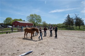 LR-WRF 04282026 Retreat-4235